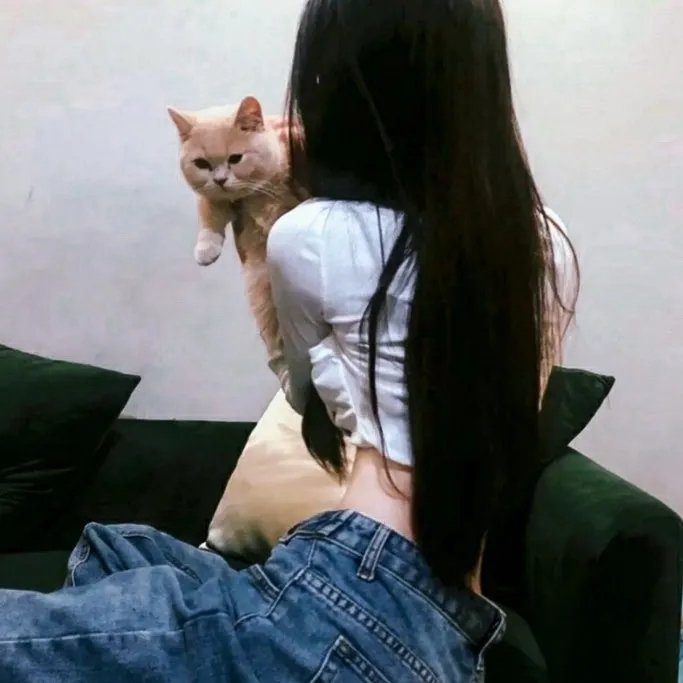 猎鹰飞过 封面